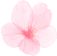 japanese flower