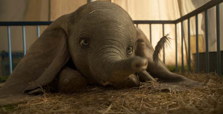Live-Action Movie Dumbo, All-Star Lineup To Help Out